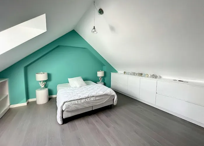 Duplex De Standing En Centre-ville Avec Parking, Proche Port Et - Fr-1-361-377