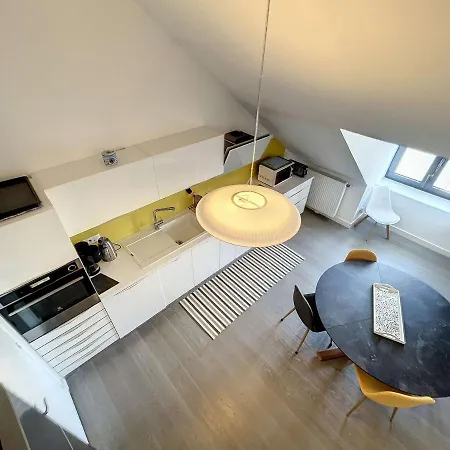 Apartman Duplex De Standing En Centre-ville Avec Parking, Proche Port Et - Fr-1-361-377 *